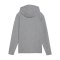 PUMA SKU Amstetten Präsentationsanzug Grau F33 - grau