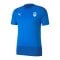 PUMA SKU Amstetten Trainingsshirt Blau F02 - blau