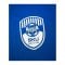 PUMA SKU Amstetten Trainingsshirt Kids Blau F02 - blau