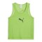 PUMA teamADDITIONS BIB Grün F48 - gruen