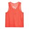 PUMA teamADDITIONS BIB Rot F29 - rot