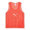 PUMA teamADDITIONS BIB Rot F29 - rot