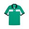 PUMA teamCLASSIC Match Trikot Grün F05 - gruen