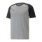 PUMA teamCUP Casuals T-Shirt Grau F13 - grau