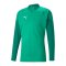 PUMA teamCUP HalfZip Sweatshirt Grün F05 - gruen