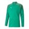 PUMA teamCUP Trainingsjacke Grün F05 - gruen