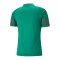 PUMA teamCUP Trainingsshirt Grün F05 - gruen