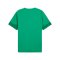 PUMA Trikot Grün F05 - gruen