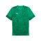 PUMA Trikot Grün F05 - gruen