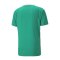 PUMA teamCUP Trikot Grün F05 - gruen