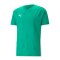 PUMA teamCUP Trikot Grün F05 - gruen