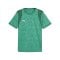 PUMA TeamCUP Trikot Grün F05 - gruen