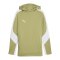 PUMA teamEvostripe Hoody Grün F40 - gruen