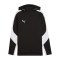 PUMA teamEvostripe Hoody Schwarz F03 - schwarz