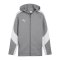 PUMA teamEVOSTRIPE Kapuzenjacke Grau F33 - grau
