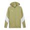 PUMA teamEVOSTRIPE Kapuzenjacke Grün F40 - gruen