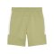 PUMA teamEVOSTRIPE Short Grün F40 - gruen