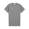 PUMA teamEVOSTRIPE T-Shirt Grau F33 - grau