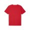 PUMA TeamFINAL 26 Trikot Rot F01 - rot