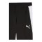 PUMA TeamFINAL 26 Trainingshose Schwarz F03 - schwarz