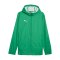 PUMA teamFINAL Allwetterjacke Grün F05 - gruen