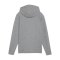 PUMA teamFINAL Casuals Kapuzenjacke Grau F33 - grau