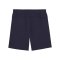 PUMA teamFINAL Casuals Shorts Kids Blau F06 - blau
