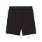 PUMA teamFINAL Casuals Shorts Schwarz F03 - schwarz
