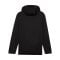 PUMA teamFINAL Fleece Jacke Schwarz F03 - schwarz