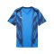PUMA teamFINAL Graphic Trikot Blau F02 - blau