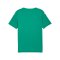 PUMA teamFINAL Graphic Trikot Grün F05 - gruen