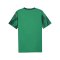 PUMA teamFINAL Graphic Trikot Grün F05 - gruen