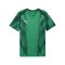 PUMA teamFINAL Graphic Trikot Grün F05 - gruen