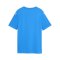 PUMA teamFINAL Graphic Trikot Kids Blau F02 - blau