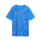 PUMA teamFINAL Graphic Trikot Kids Blau F02 - blau