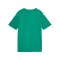 PUMA teamFINAL Graphic Trikot Kids Grün F05 - gruen