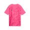 PUMA teamFINAL Graphic Trikot Kids Rosa F27 - rosa