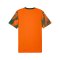 PUMA teamFINAL Graphic Trikot Orange F37 - orange