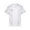 PUMA teamFINAL Graphic Trikot Weiß F04 - weiss