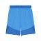 PUMA teamFINAL Short Blau Weiss Blau F02 - blau