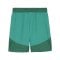 PUMA teamFINAL Short Grün Weiss Grün F05 - gruen