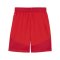 PUMA teamFINAL Short Rot Weiss Rot F01 - rot