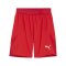 PUMA teamFINAL Short Rot Weiss Rot F01 - rot