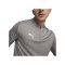 PUMA teamFINAL Training 1/4 Zip Sweatshirt F13 - grau