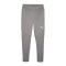 PUMA teamFINAL Trainingshose Grau F13 - grau