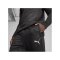 PUMA teamFINAL Trainingshose Schwarz F03 - schwarz