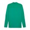 PUMA teamFINAL Trainingsjacke Grün F05 - gruen