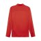 PUMA teamFINAL Trainingsjacke Rot F01 - rot