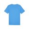 PUMA teamFINAL Trikot Blau F02 - blau