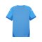 PUMA teamFINAL Trikot Blau Weiss Blau F02 - blau